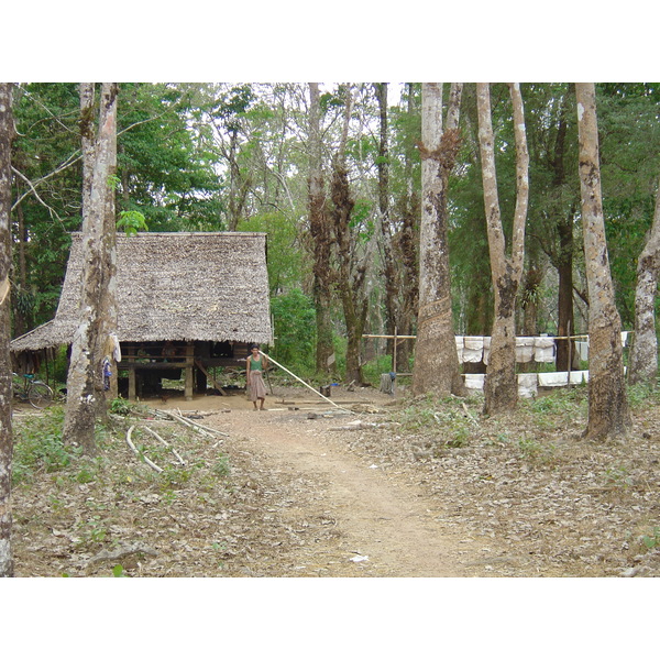 รูปถ่าย พม่า(Myanmar) ถนนจากทวายไปหาดหม่องมะกัน(Road from Dawei to Maungmagan beach) 2005-01 28