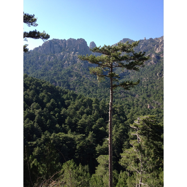 รูปถ่าย ฝรั่งเศส(France) คอร์สิคา(Corsica) บาแวลลา(Bavella) 2012-09 42