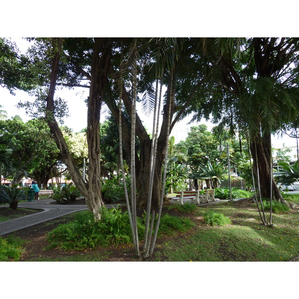 รูปถ่าย นิวแคลิโดเนีย(New Caledonia) นูเมอา(Noumea) 2010-05 4