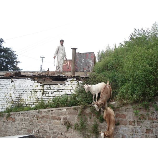 รูปถ่าย ปากีสถาน(Pakistan) มืร์รี(Murree) 2006-08 164