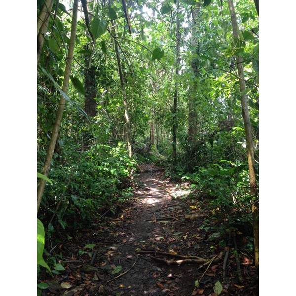 รูปถ่าย คอสตาริกา(Costa Rica) กาอุยตา(Cahuita) 2015-03 13