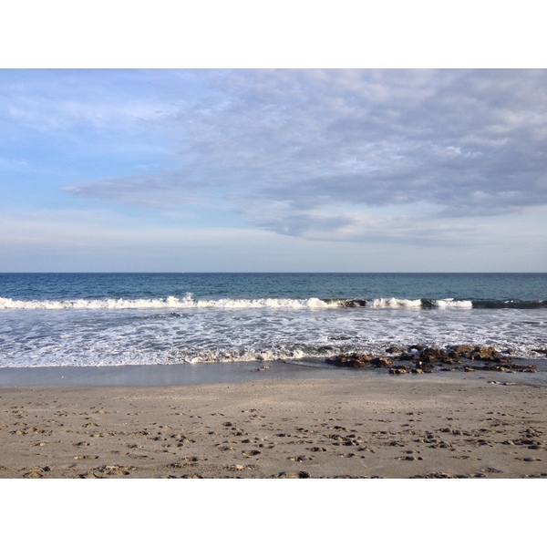 รูปถ่าย คอสตาริกา(Costa Rica) มอนเตซูมา(Montezuma) 2015-03 474