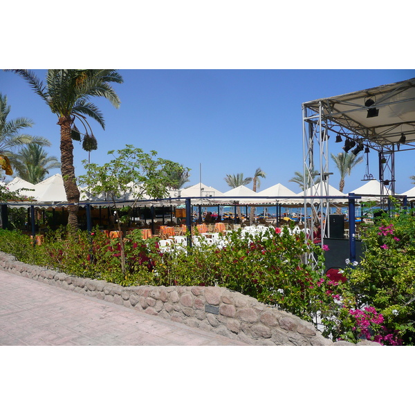รูปถ่าย อียิปต์(Egypt) ชาร์มเอลชีค(Sharm el Sheikh) 2008-06 103