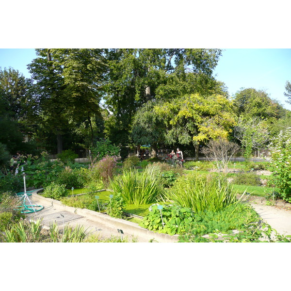 รูปถ่าย ฝรั่งเศส(France) ปารีส(Paris) สวนพันธ์ุพืช(Jardin des Plantes) 2007-08 66