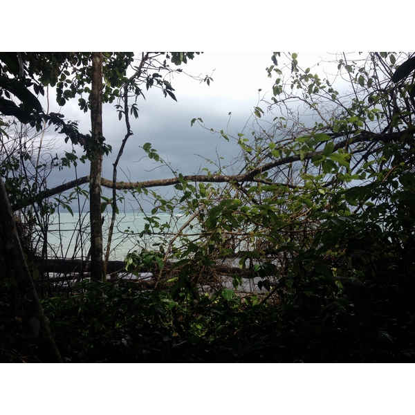 รูปถ่าย คอสตาริกา(Costa Rica) กาอุยตา(Cahuita) 2015-03 40