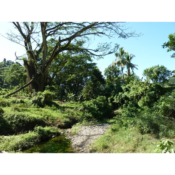 รูปถ่าย ฟิจิ(Fiji) แม่น้ำซิงกาโตกา(Sigatoka river) 2010-05 2