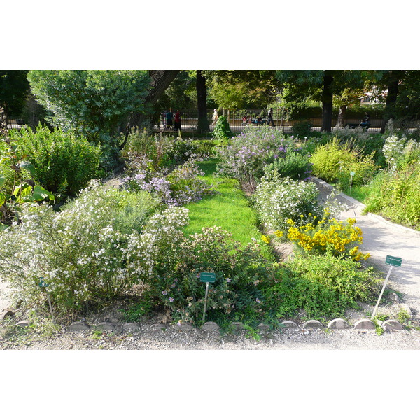 รูปถ่าย ฝรั่งเศส(France) ปารีส(Paris) สวนพันธ์ุพืช(Jardin des Plantes) 2007-08 97