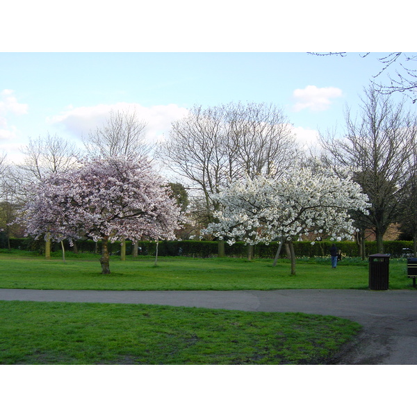 รูปถ่าย อังกฤษ(United Kingdom) ลอนดอน(London) 2001-04 16
