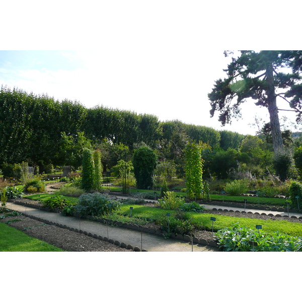รูปถ่าย ฝรั่งเศส(France) ปารีส(Paris) สวนพันธ์ุพืช(Jardin des Plantes) 2007-08 83