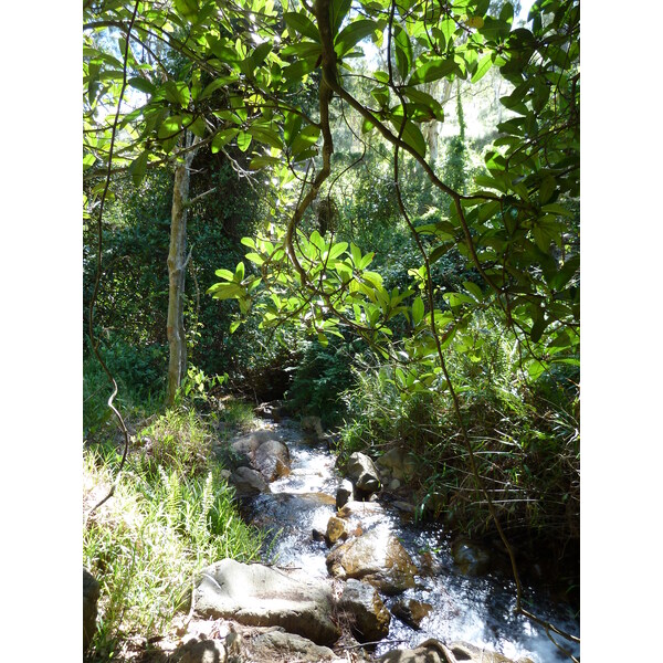 รูปถ่าย นิวแคลิโดเนีย(New Caledonia) ถนนจากตงตูตาไปทีโอ(Tontouta to Thio road) 2010-05 131