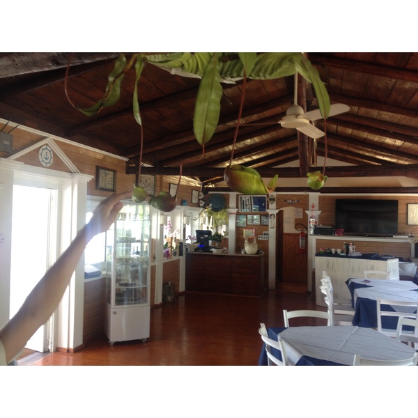 รูปถ่าย อิตาลี(Italy) ซาร์ดิเนีย(Sardinia) อัลเกโร(Alghero) 2015-06 45