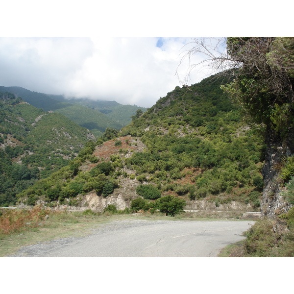 รูปถ่าย ฝรั่งเศส(France) คอร์สิคา(Corsica) วัลเล-ดาเลซานี(Valle d'alesani) 2006-09 75