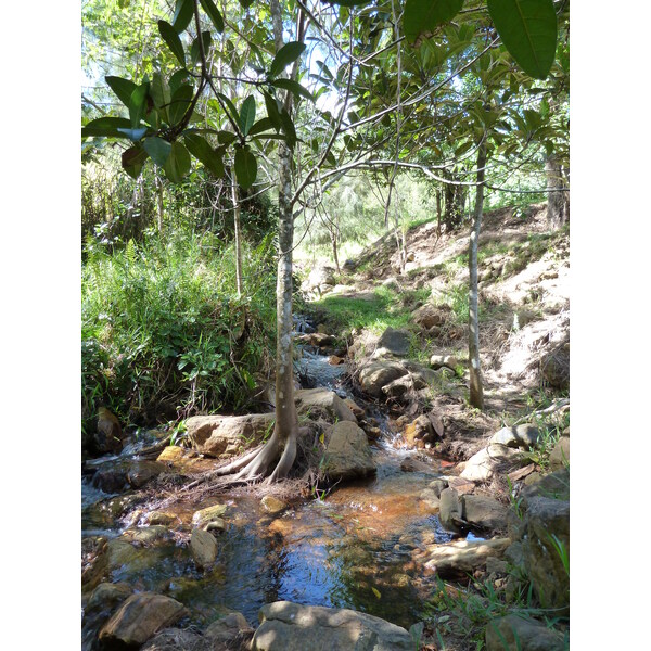 รูปถ่าย นิวแคลิโดเนีย(New Caledonia) ถนนจากตงตูตาไปทีโอ(Tontouta to Thio road) 2010-05 108