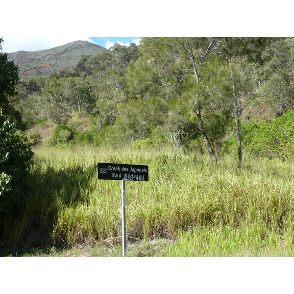 รูปถ่าย นิวแคลิโดเนีย(New Caledonia) ถนนจากตงตูตาไปทีโอ(Tontouta to Thio road) 2010-05 111