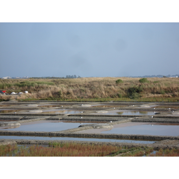 รูปถ่าย ฝรั่งเศส(France) เกรองเดอ(Guerande) 2006-08 11