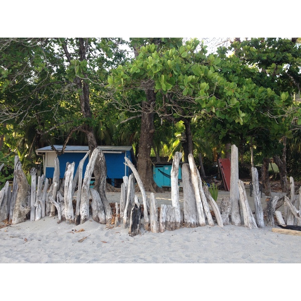 รูปถ่าย คอสตาริกา(Costa Rica) มอนเตซูมา(Montezuma) 2015-03 104