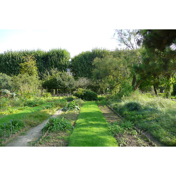 รูปถ่าย ฝรั่งเศส(France) ปารีส(Paris) สวนพันธ์ุพืช(Jardin des Plantes) 2007-08 159