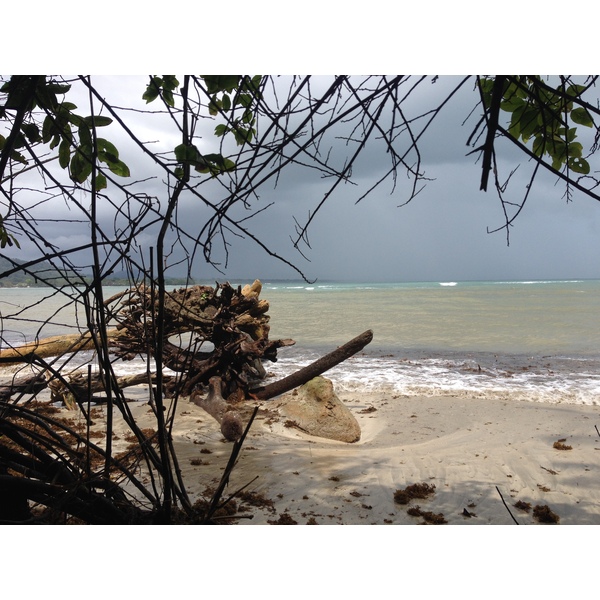 รูปถ่าย คอสตาริกา(Costa Rica) กาอุยตา(Cahuita) 2015-03 21