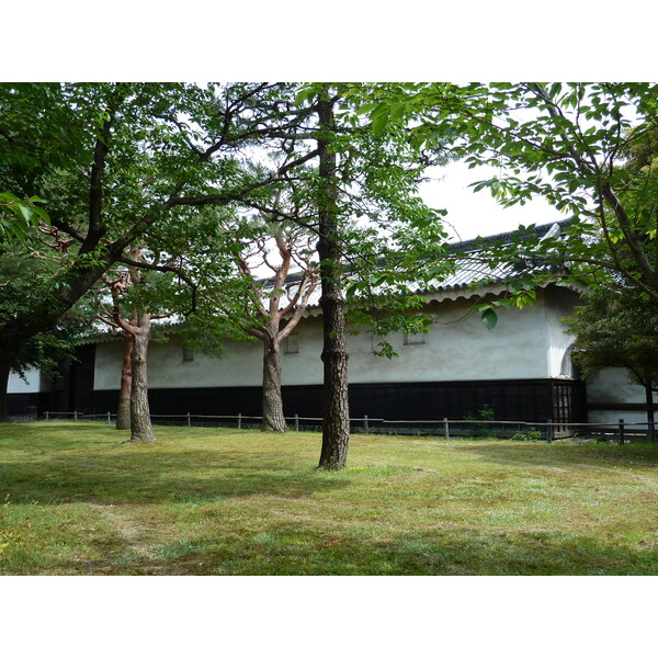 รูปถ่าย ญี่ปุ่น(Japan) เกียวโต(Kyoto) ปราสาทนิโจ(Nijo Castle) 2010-06 36