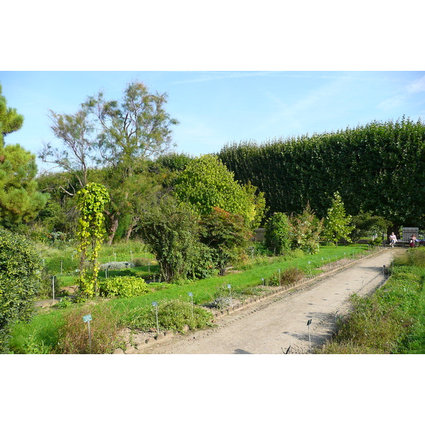รูปถ่าย ฝรั่งเศส(France) ปารีส(Paris) สวนพันธ์ุพืช(Jardin des Plantes) 2007-08 127
