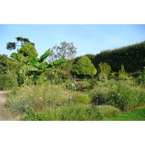 รูปถ่าย ฝรั่งเศส(France) ปารีส(Paris) สวนพันธ์ุพืช(Jardin des Plantes) 2007-08 109