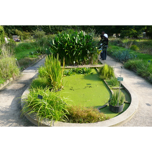 รูปถ่าย ฝรั่งเศส(France) ปารีส(Paris) สวนพันธ์ุพืช(Jardin des Plantes) 2007-08 113