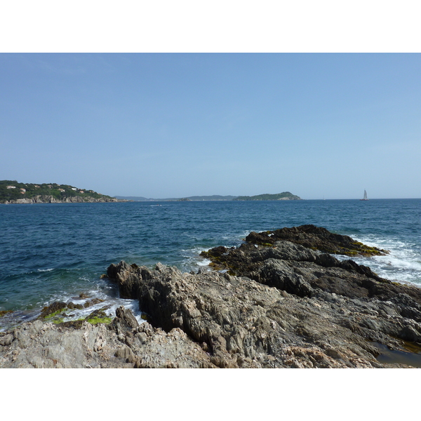 รูปถ่าย ฝรั่งเศส(France) คาบสมุทรเยียง(Giens Peninsula) 2009-05 27