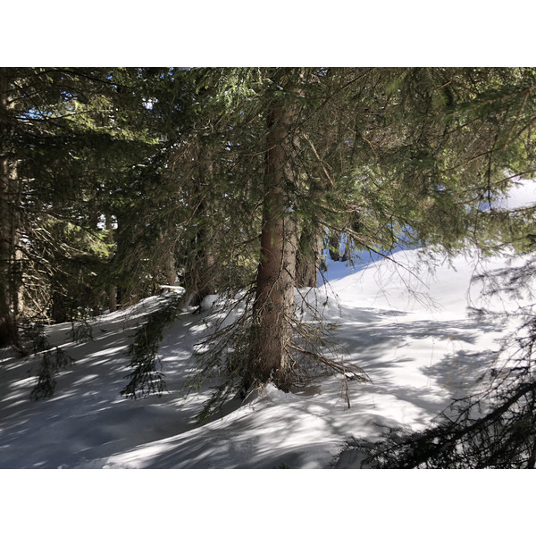 รูปถ่าย ฝรั่งเศส(France) เมแฌฟว์(Megeve) 2019-03 59