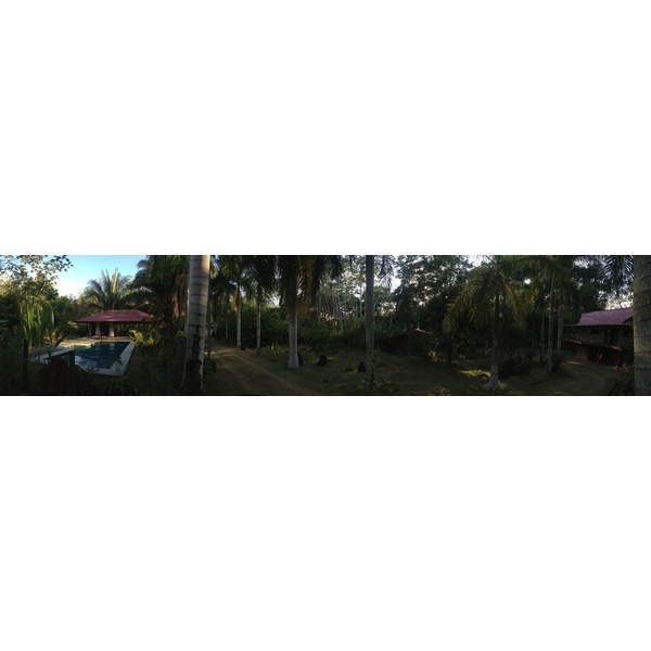 รูปถ่าย คอสตาริกา(Costa Rica) อูบีตา(Uvita) 2015-03 88