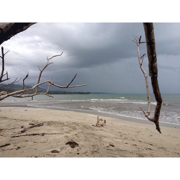 รูปถ่าย คอสตาริกา(Costa Rica) กาอุยตา(Cahuita) 2015-03 112