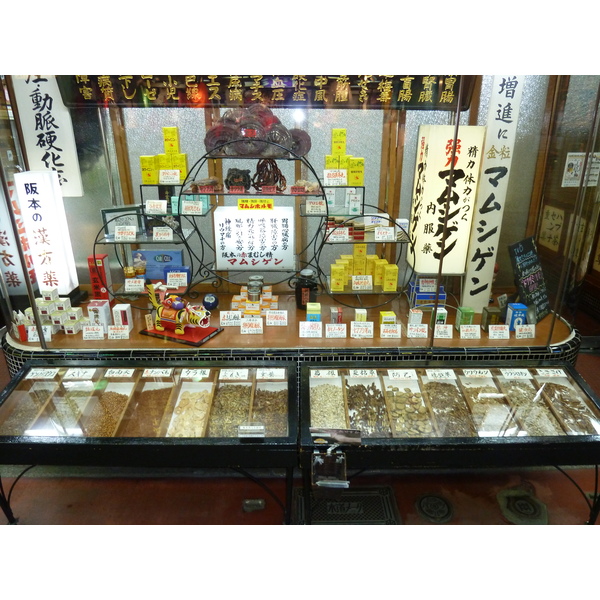 รูปถ่าย ญี่ปุ่น(Japan) เกียวโต(Kyoto) ถนนชิโจ(Shijo dori) 2010-06 78