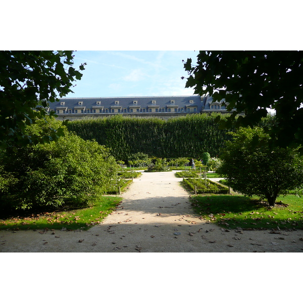 รูปถ่าย ฝรั่งเศส(France) ปารีส(Paris) สวนพันธ์ุพืช(Jardin des Plantes) 2007-08 155