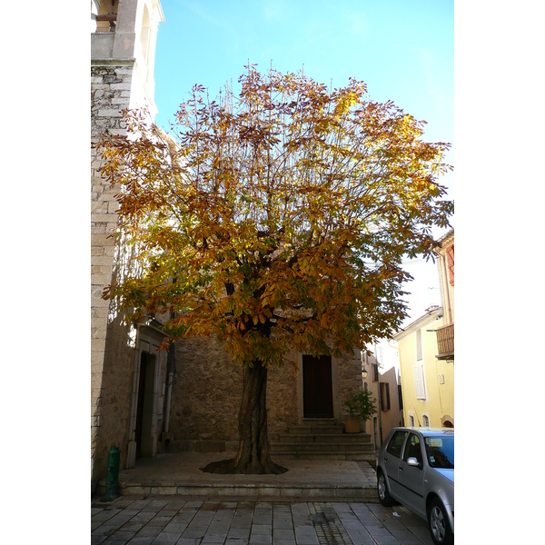 รูปถ่าย ฝรั่งเศส(France) แซ็ง-ฌาเน(Saint Jeannet) 2007-11 36