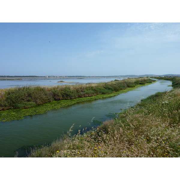 รูปถ่าย ฝรั่งเศส(France) คาบสมุทรเยียง(Giens Peninsula) 2009-05 24