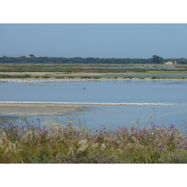 รูปถ่าย ฝรั่งเศส(France) คาบสมุทรเยียง(Giens Peninsula) 2009-05 16