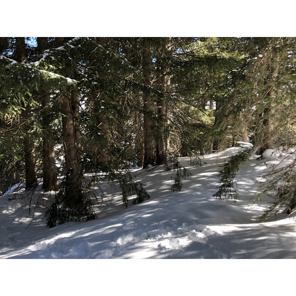 รูปถ่าย ฝรั่งเศส(France) เมแฌฟว์(Megeve) 2019-03 93