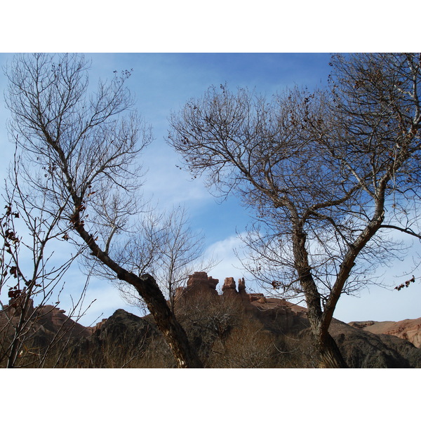 รูปถ่าย คาซัคสถาน(Kazakhstan) หุบผาชารึน(Charyn Canyon) 2007-03 207
