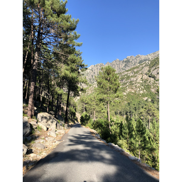รูปถ่าย ฝรั่งเศส(France) คอร์สิคา(Corsica) หุบเขาลาเรสโตนีกา(La Restonica) 2020-07 100