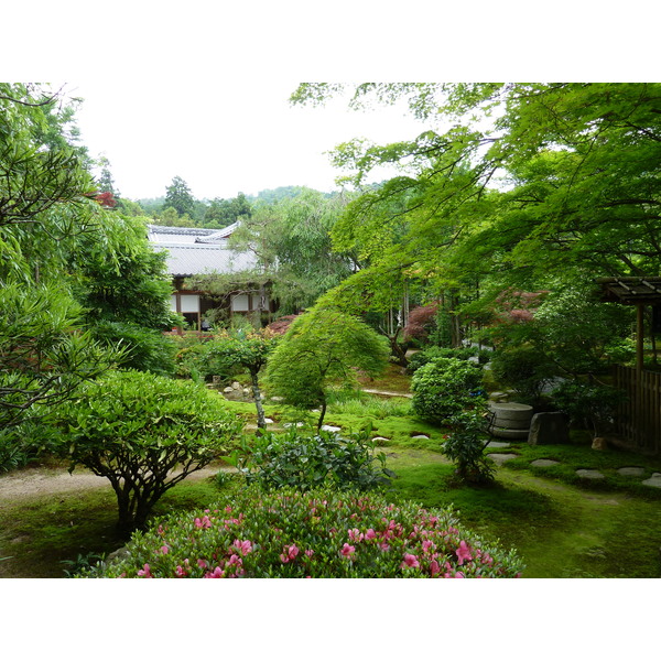 รูปถ่าย ญี่ปุ่น(Japan) เกียวโต(Kyoto) วัดเรียวอันจิ(Ryoanji Temple) 2010-06 45