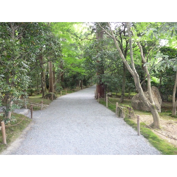 รูปถ่าย ญี่ปุ่น(Japan) เกียวโต(Kyoto) วัดเรียวอันจิ(Ryoanji Temple) 2010-06 42