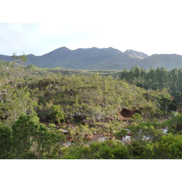 รูปถ่าย นิวแคลิโดเนีย(New Caledonia) อุทยานริเวียร์เบลอ(Parc de la Riviere Bleue) 2010-05 46