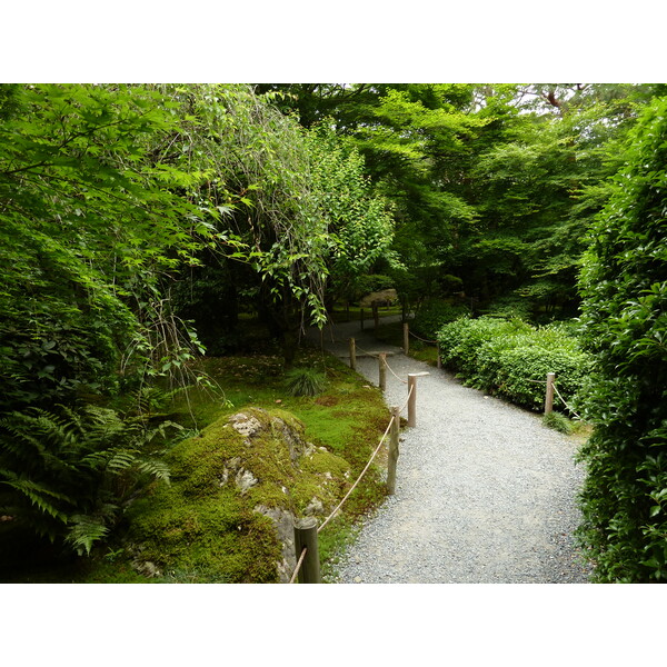 รูปถ่าย ญี่ปุ่น(Japan) เกียวโต(Kyoto) วัดเรียวอันจิ(Ryoanji Temple) 2010-06 36