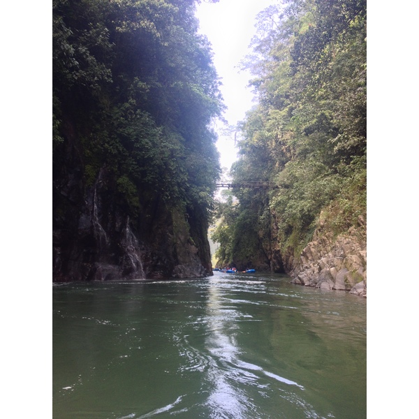 รูปถ่าย คอสตาริกา(Costa Rica) แม่น้ำปากัวเร(Pacuare River) 2015-03 155
