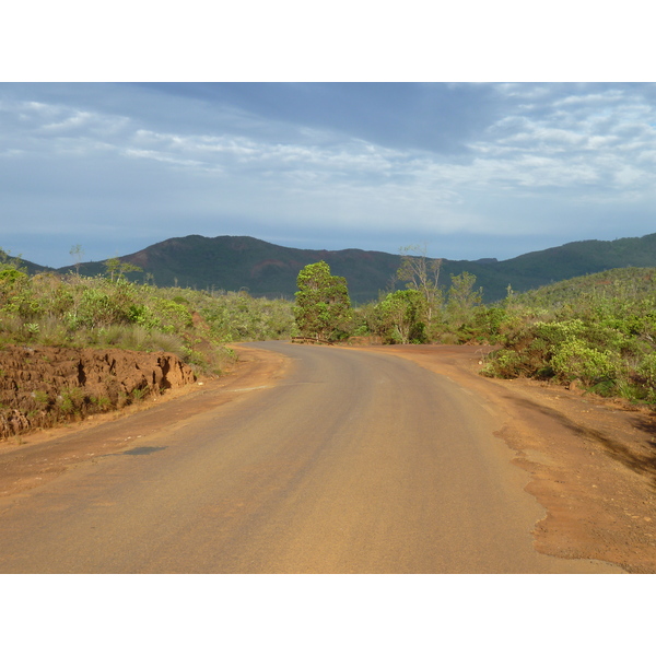 รูปถ่าย นิวแคลิโดเนีย(New Caledonia) อุทยานริเวียร์เบลอ(Parc de la Riviere Bleue) 2010-05 138
