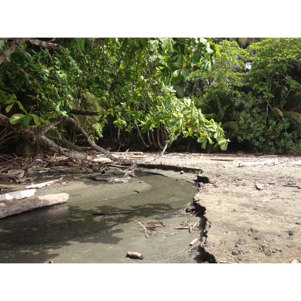 รูปถ่าย คอสตาริกา(Costa Rica) มอนเตซูมา(Montezuma) 2015-03 351