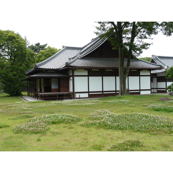 รูปถ่าย ญี่ปุ่น(Japan) เกียวโต(Kyoto) สวนเกียวโตเกียวเอ็ง(Kyoto Gyoen Garden) 2010-06 20