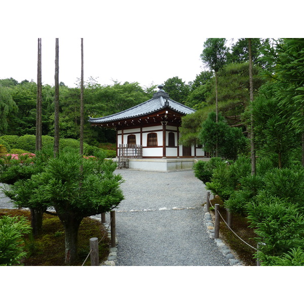 รูปถ่าย ญี่ปุ่น(Japan) เกียวโต(Kyoto) วัดเรียวอันจิ(Ryoanji Temple) 2010-06 76
