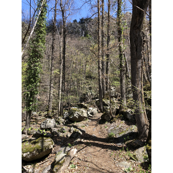 รูปถ่าย ฝรั่งเศส(France) แอบบีแซ็งมาร์แต็งดูกานีกู(Abbaye Saint Martin du Canigou) 2018-04 104