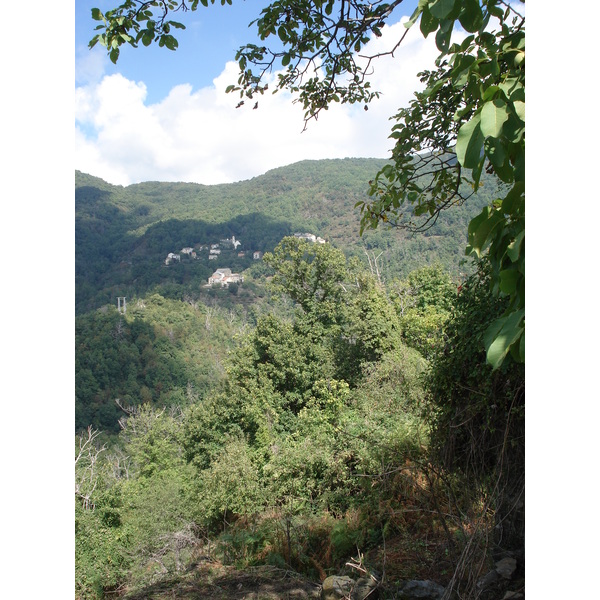 รูปถ่าย ฝรั่งเศส(France) คอร์สิคา(Corsica) วัลเล-ดาเลซานี(Valle d'alesani) 2006-09 133