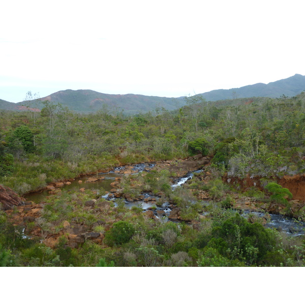 รูปถ่าย นิวแคลิโดเนีย(New Caledonia) อุทยานริเวียร์เบลอ(Parc de la Riviere Bleue) 2010-05 88